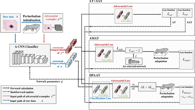 Figure 1 for Dynamic Perturbation-Adaptive Adversarial Training on Medical Image Classification