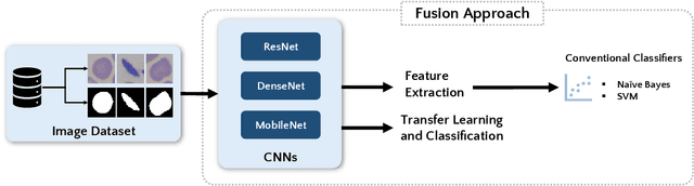 Figure 1 for Improving Sickle Cell Disease Classification: A Fusion of Conventional Classifiers, Segmented Images, and Convolutional Neural Networks