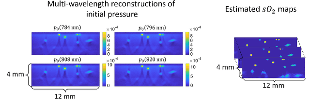 Figure 3 for Model-based reconstructions for quantitative imaging in photoacoustic tomography