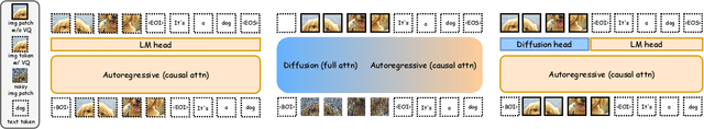 Figure 1 for Orthus: Autoregressive Interleaved Image-Text Generation with Modality-Specific Heads