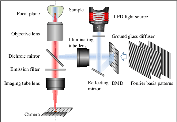 Figure 3 for Confocal structured illumination microscopy