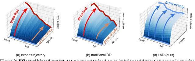 Figure 3 for Distilling Long-tailed Datasets