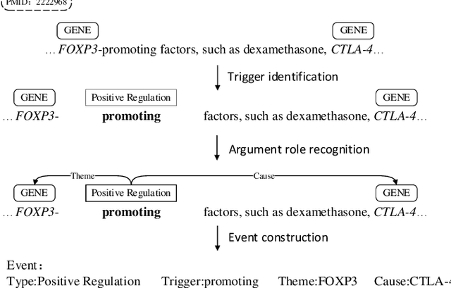 Figure 2 for Pipelined Biomedical Event Extraction Rivaling Joint Learning