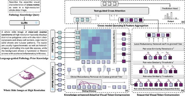 Figure 1 for FOCUS: Knowledge-enhanced Adaptive Visual Compression for Few-shot Whole Slide Image Classification