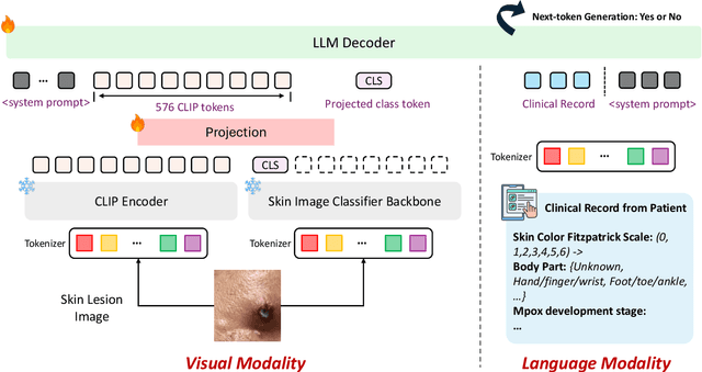 Figure 3 for MpoxVLM: A Vision-Language Model for Diagnosing Skin Lesions from Mpox Virus Infection