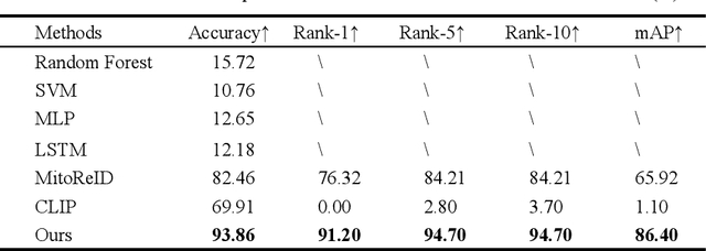 Figure 4 for MolCLIP: A Molecular-Auxiliary CLIP Framework for Identifying Drug Mechanism of Action Based on Time-Lapsed Mitochondrial Images