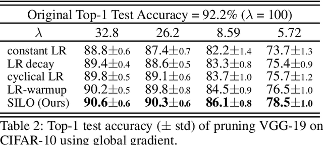 Figure 4 for Optimizing Learning Rate Schedules for Iterative Pruning of Deep Neural Networks