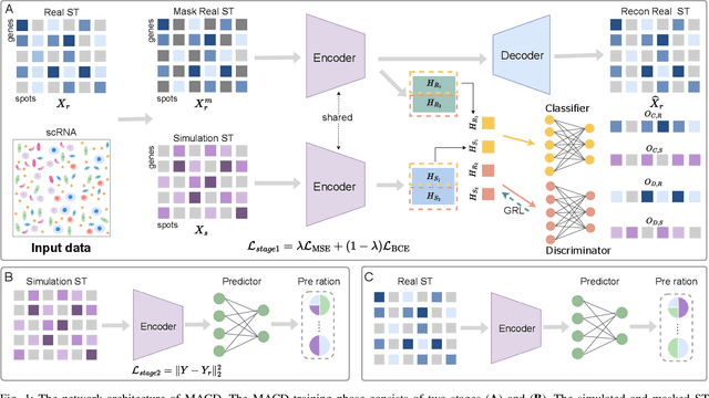 Figure 1 for Masked adversarial neural network for cell type deconvolution in spatial transcriptomics