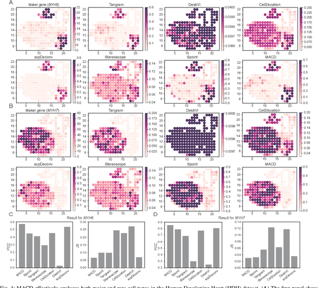 Figure 4 for Masked adversarial neural network for cell type deconvolution in spatial transcriptomics