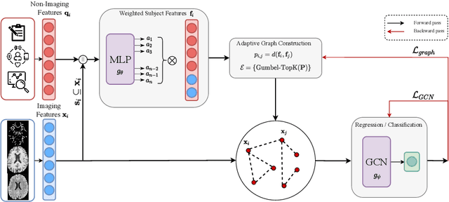 Figure 1 for Multimodal brain age estimation using interpretable adaptive population-graph learning