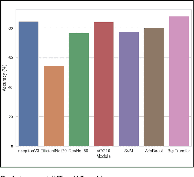 Figure 1 for Classification of Melanocytic Nevus Images using BigTransfer (BiT)