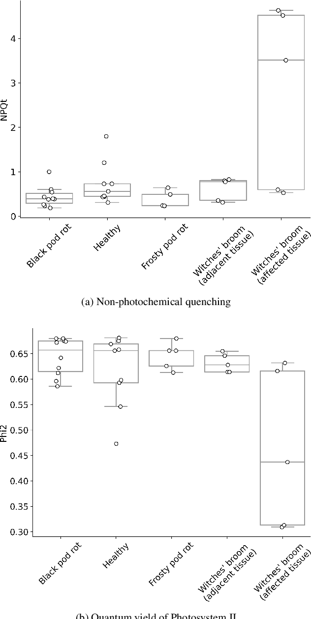 Figure 2 for PhytNet -- Tailored Convolutional Neural Networks for Custom Botanical Data