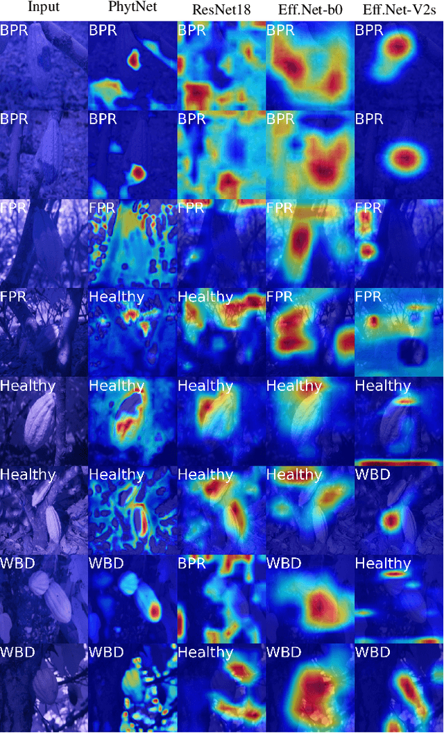 Figure 4 for PhytNet -- Tailored Convolutional Neural Networks for Custom Botanical Data