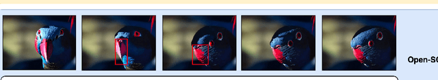 Figure 1 for VANE-Bench: Video Anomaly Evaluation Benchmark for Conversational LMMs