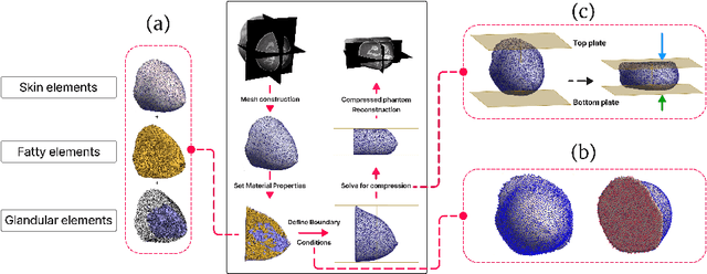 Figure 3 for Graph Neural Networks for modelling breast biomechanical compression