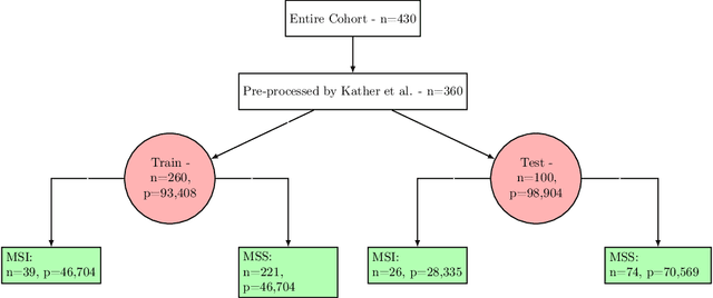 Figure 1 for Biologically-primed deep neural network improves colorectal Cancer Molecular subtypes prediction from H&E stained images