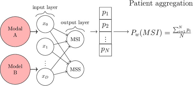Figure 3 for Biologically-primed deep neural network improves colorectal Cancer Molecular subtypes prediction from H&E stained images