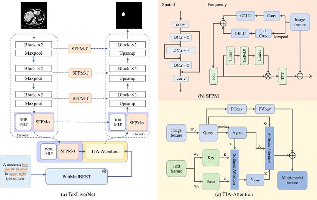 Figure 1 for TexLiverNet: Leveraging Medical Knowledge and Spatial-Frequency Perception for Enhanced Liver Tumor Segmentation
