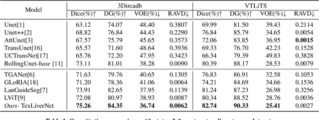 Figure 2 for TexLiverNet: Leveraging Medical Knowledge and Spatial-Frequency Perception for Enhanced Liver Tumor Segmentation