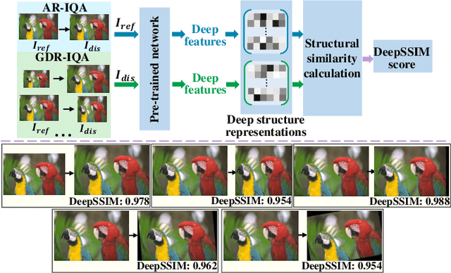 Figure 1 for Structural Similarity in Deep Features: Image Quality Assessment Robust to Geometrically Disparate Reference
