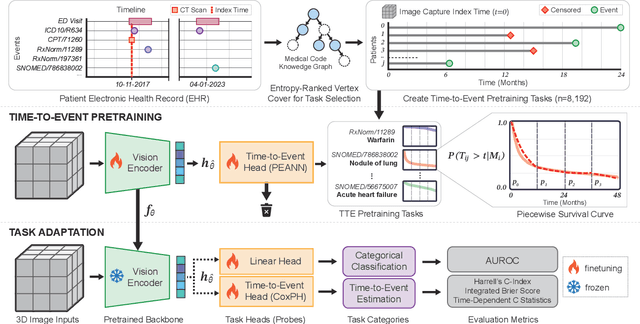 Figure 3 for Time-to-Event Pretraining for 3D Medical Imaging