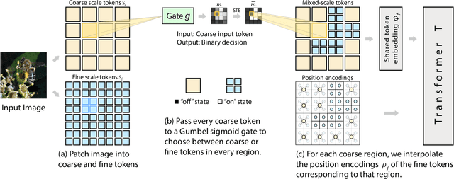 Figure 3 for MSViT: Dynamic Mixed-Scale Tokenization for Vision Transformers