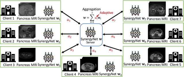 Figure 1 for Adaptive Aggregation Weights for Federated Segmentation of Pancreas MRI