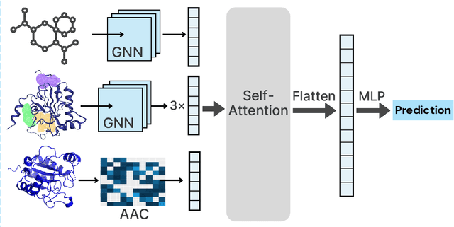 Figure 3 for FlexMol: A Flexible Toolkit for Benchmarking Molecular Relational Learning