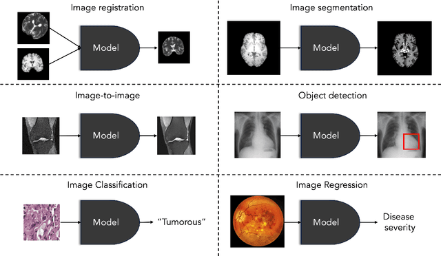 Figure 1 for A Framework for Interpretability in Machine Learning for Medical Imaging