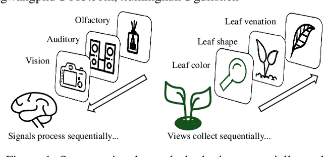 Figure 1 for Multi-View Incremental Learning with Structured Hebbian Plasticity for Enhanced Fusion Efficiency