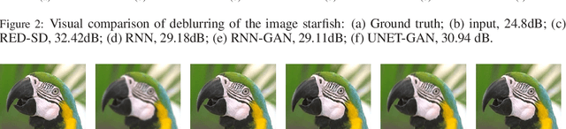 Figure 4 for One-Shot Image Restoration