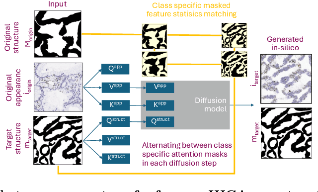 Figure 1 for Mask-guided cross-image attention for zero-shot in-silico histopathologic image generation with a diffusion model