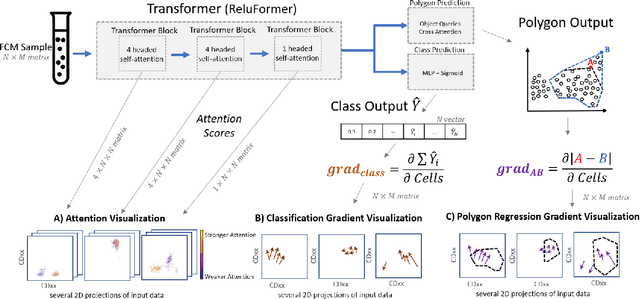 Figure 1 for Explainable Techniques for Analyzing Flow Cytometry Cell Transformers