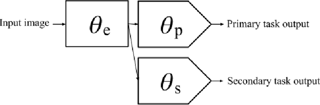Figure 4 for Adaptive Domain Generalization for Digital Pathology Images
