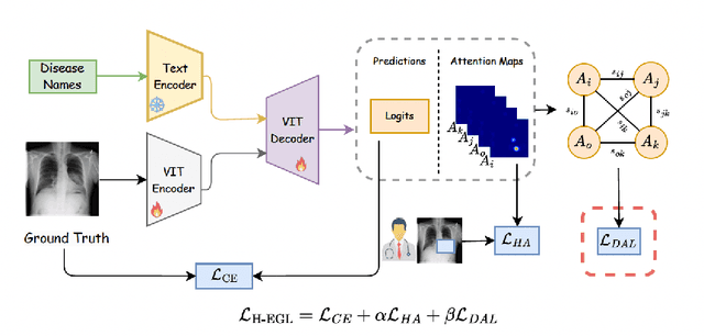 Figure 1 for Hybrid Explanation-Guided Learning for Transformer-Based Chest X-Ray Diagnosis