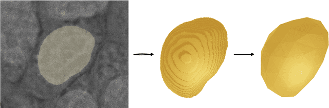 Figure 3 for Dr. KID: Direct Remeshing and K-set Isometric Decomposition for Scalable Physicalization of Organic Shapes