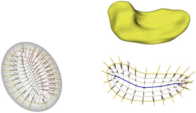 Figure 4 for Interior Object Geometry via Fitted Frames