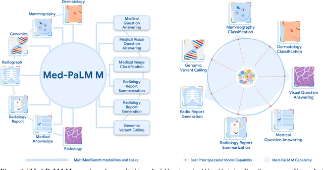 Figure 1 for Towards Generalist Biomedical AI