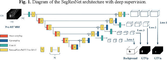 Figure 1 for Deep Learning for Longitudinal Gross Tumor Volume Segmentation in MRI-Guided Adaptive Radiotherapy for Head and Neck Cancer