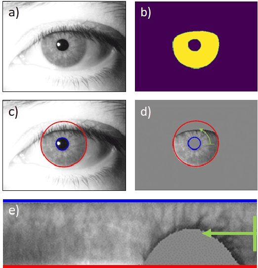 Figure 3 for On the Feasibility of Creating Iris Periocular Morphed Images