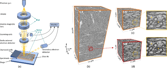 Figure 1 for No-Clean-Reference Image Super-Resolution: Application to Electron Microscopy