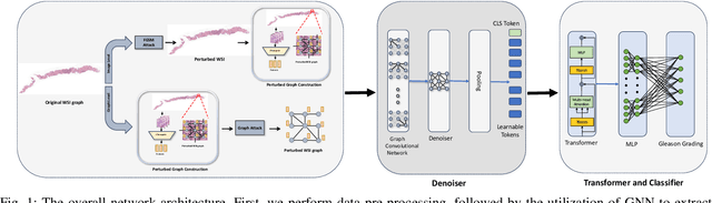 Figure 1 for Adversary-Robust Graph-Based Learning of WSIs