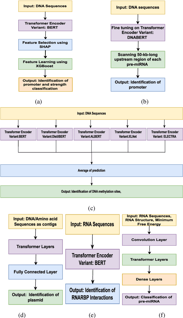 Figure 3 for A Review on the Applications of Transformer-based language models for Nucleotide Sequence Analysis