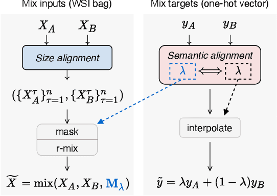 Figure 2 for Pseudo-Bag Mixup Augmentation for Multiple Instance Learning-Based Whole Slide Image Classification