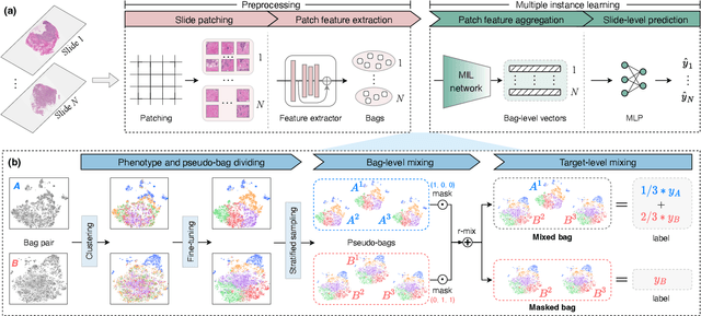 Figure 3 for Pseudo-Bag Mixup Augmentation for Multiple Instance Learning-Based Whole Slide Image Classification