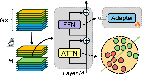 Figure 1 for CogSteer: Cognition-Inspired Selective Layer Intervention for Efficient Semantic Steering in Large Language Models