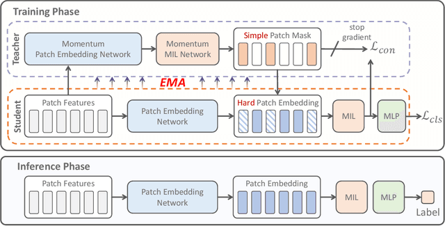 Figure 3 for Multiple Instance Learning Framework with Masked Hard Instance Mining for Whole Slide Image Classification