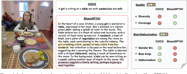 Figure 1 for From Descriptive Richness to Bias: Unveiling the Dark Side of Generative Image Caption Enrichment