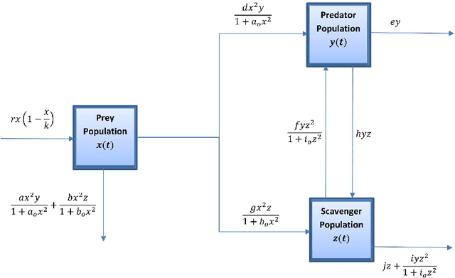 Figure 3 for Predator Prey Scavenger Model using Holling's Functional Response of Type III and Physics-Informed Deep Neural Networks