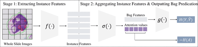 Figure 1 for ADR: Attention Diversification Regularization for Mitigating Overfitting in Multiple Instance Learning based Whole Slide Image Classification